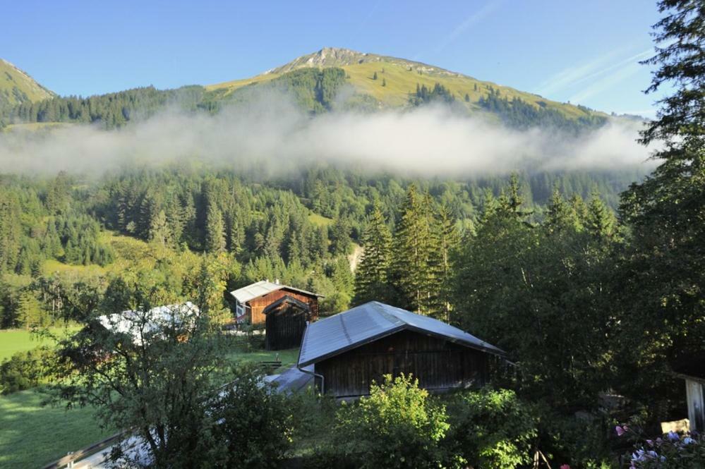 Haus Alpina Apartment Häselgehr Екстериор снимка